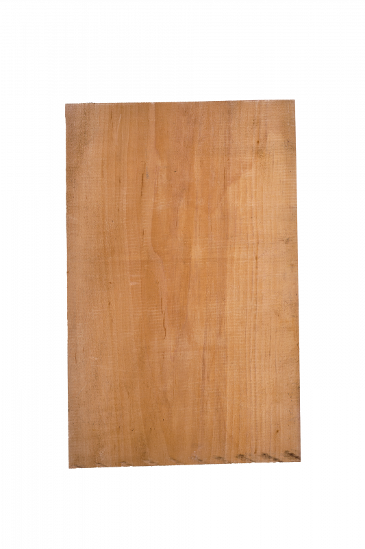 Body Alder, European,1-pc., Unique Piece #058